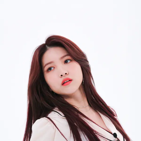 Sowon gallery image