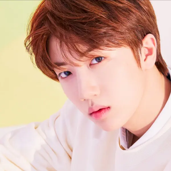 Wonjin gallery image