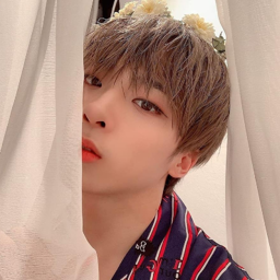 Castle J gallery image