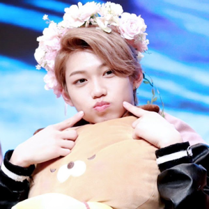 Felix 3