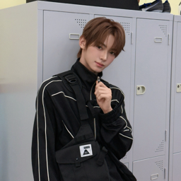 Hanjin gallery image