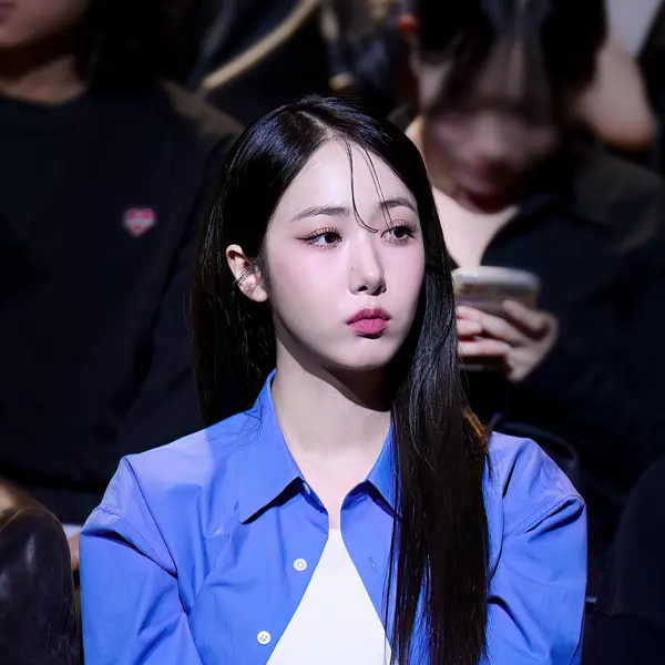 SinB gallery image