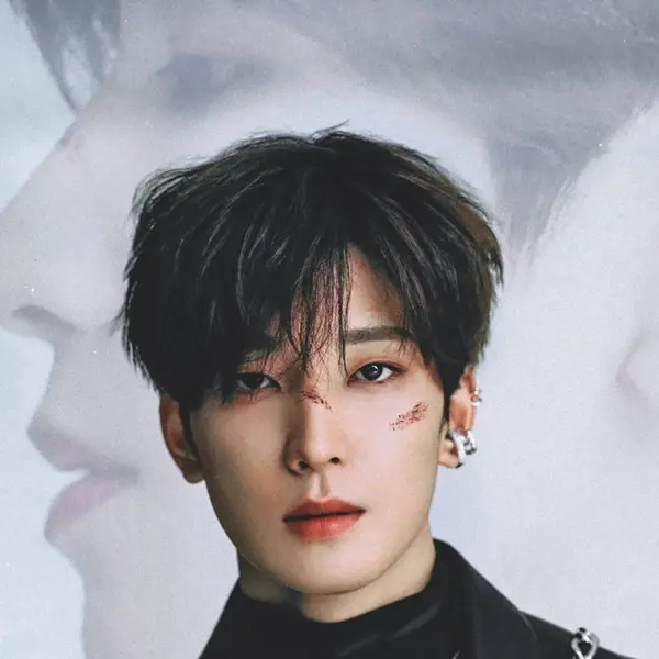 Wonwoo gallery image