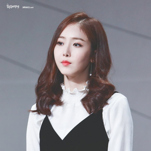 SinB gallery image