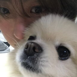 Park Wonbin gallery image