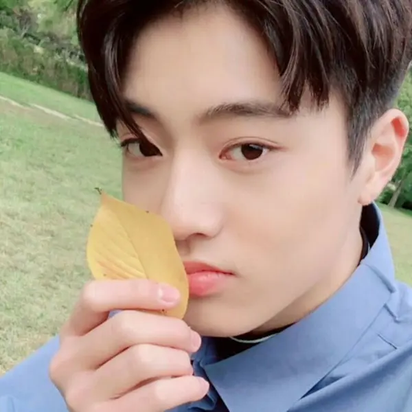 Watanabe Haruto gallery image