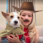 laylayXjenlvly avatar