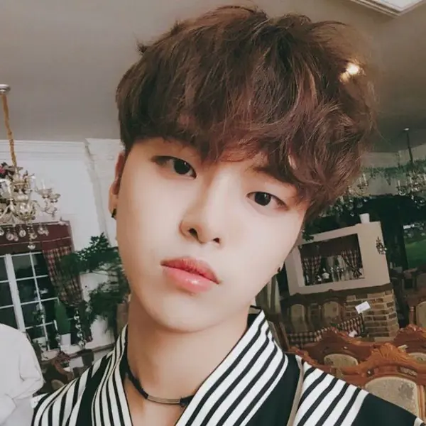 Hajoon 갤러리 이미지