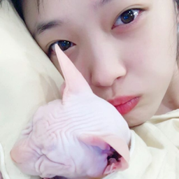 Sulli gallery image