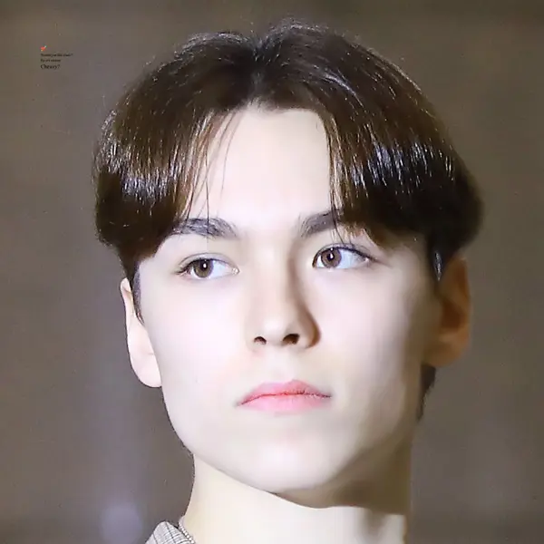 Vernon gallery image