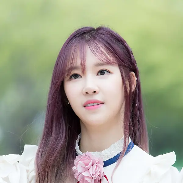 Ellin gallery image