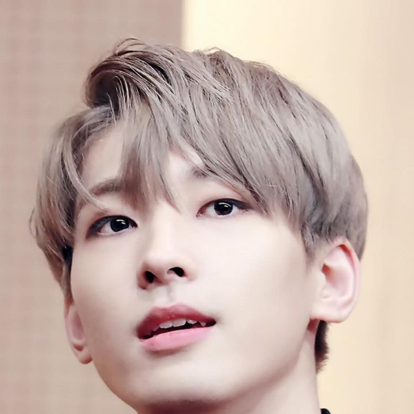Wonwoo gallery image