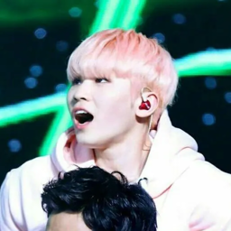 Woozi gallery image