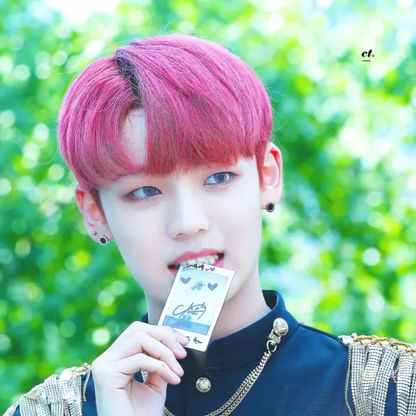 Chan gallery image