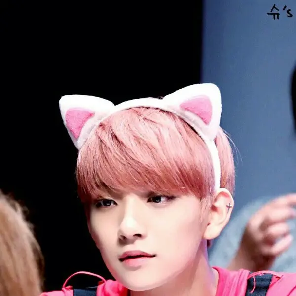 Joshua gallery image