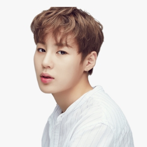 Ha Sungwoon gallery image