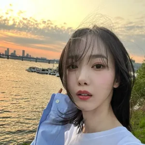 SinB gallery image