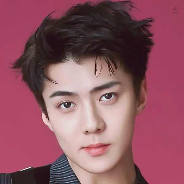 Sehun gallery image