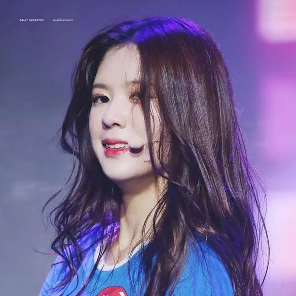 Daisy的图库图片