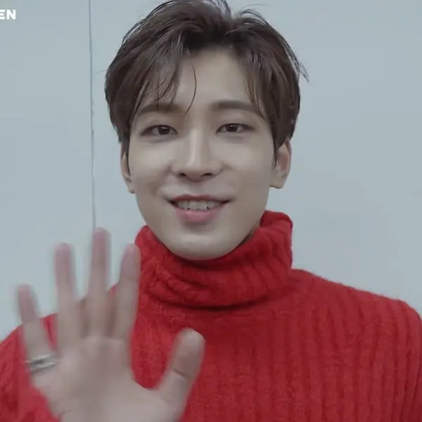 Wonwoo gallery image