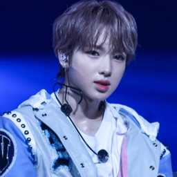 Sakuya gallery image