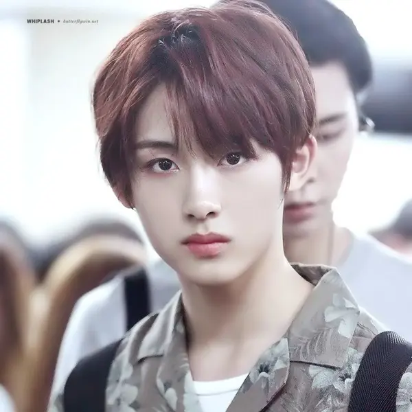 Winwin gallery image