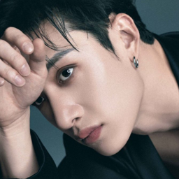 Bang Chan gallery image