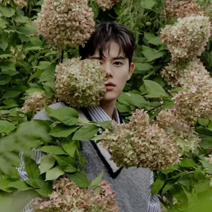 Dongjun gallery image