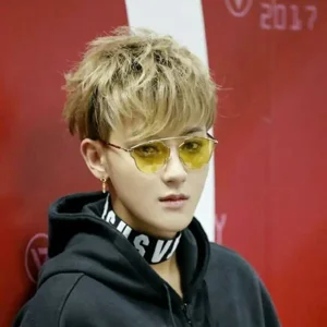 Huang Zitao gallery image
