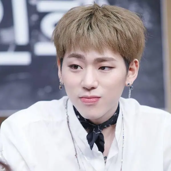 Zico gallery image