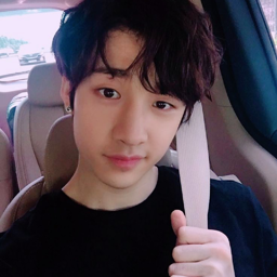 Bang Chan gallery image