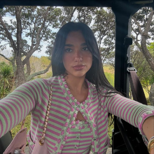 Imagen de la galería de Dua Lipa