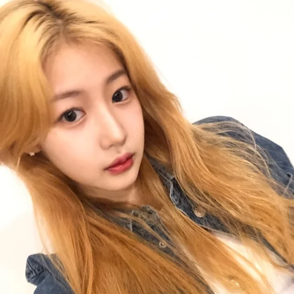 Image de galerie de Yewon