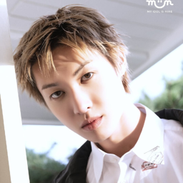 Martin gallery image