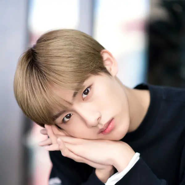 Winwin gallery image