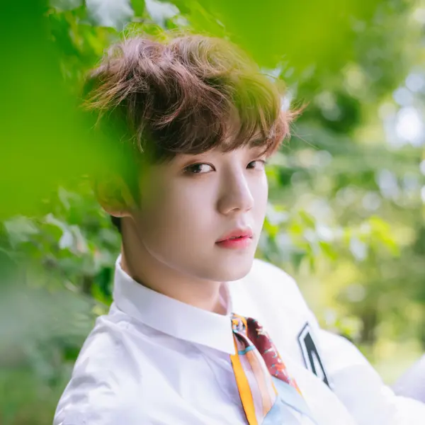 Chan gallery image