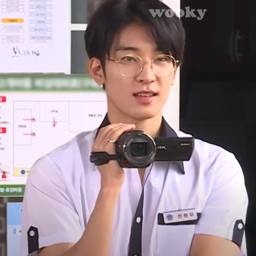 Wonwoo gallery image