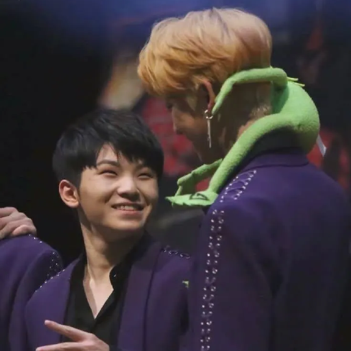 Woozi gallery image