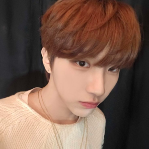 Woonhak gallery image