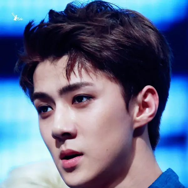 Sehun gallery image