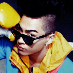 Taeyang gallery image