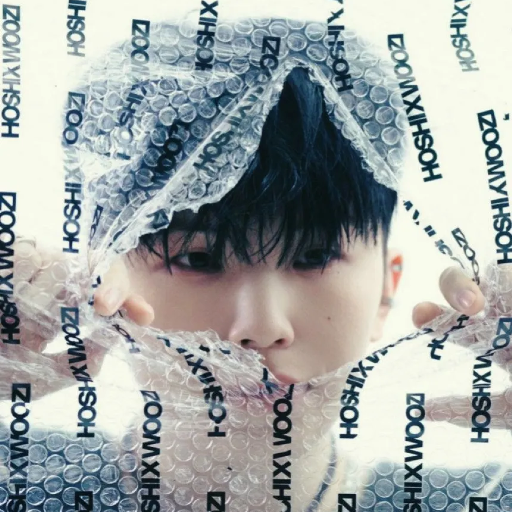 Woozi gallery image