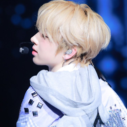 Sakuya gallery image