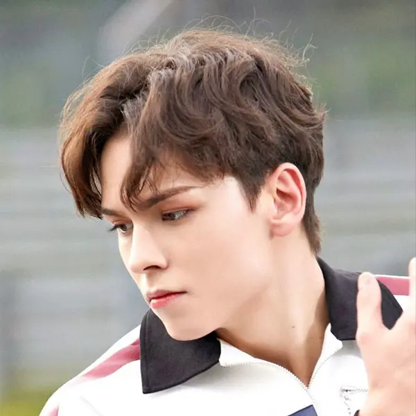 Vernon gallery image