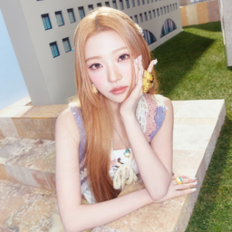 Stella gallery image