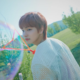 Kangsung gallery image