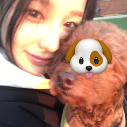 Ryu Sarang gallery image