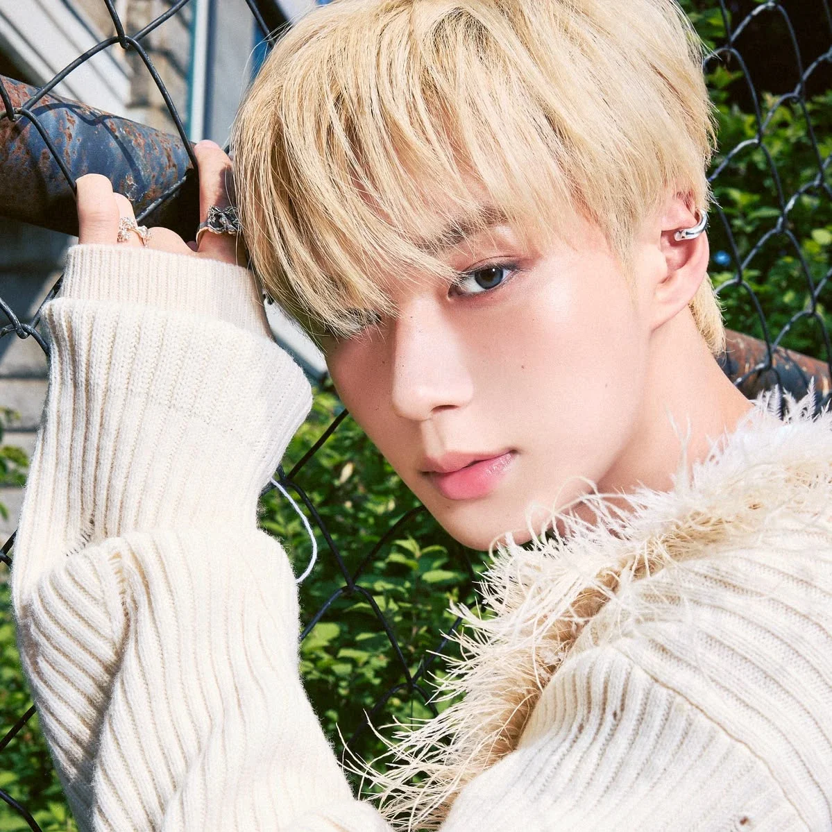 Junseo gallery image
