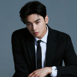 Cha Eunwoo