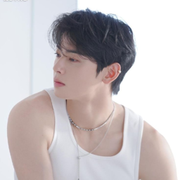 Cha Eunwoo